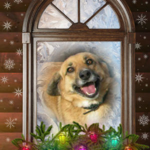 Ευχαριστούμε!