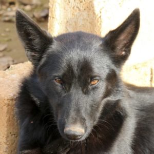 Εσμεράλντα – Esmeralda