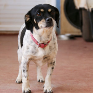 Φρόσω – Froso