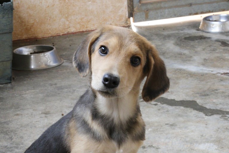 Read more about the article Ίαν – Ian