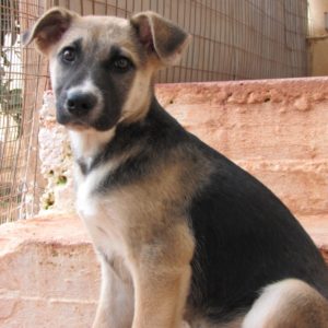 Κλάιντ – Clayde