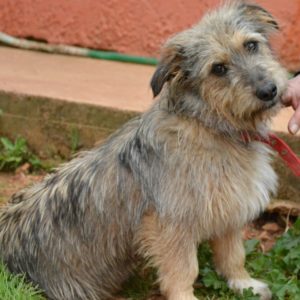 Κιούπιντ – Cupid