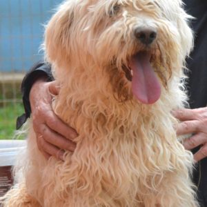 Άϊνσταϊν- Einstein