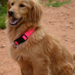 Τίφανυ – Tiffany