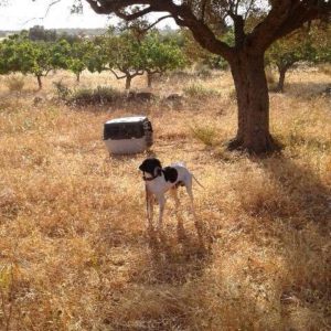 Συνεχής Ενημέρωση