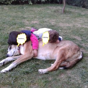 ΚΑΖ … Αν δεν υπήρχατε εσείς …