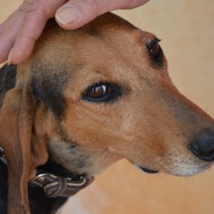 Μαρλέν – Marlen