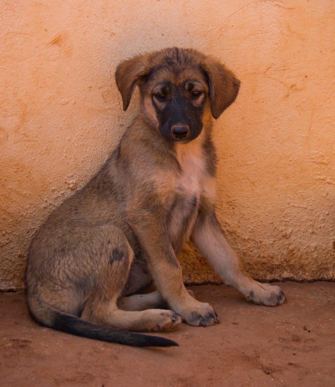 Read more about the article Σαν – Sun