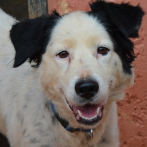 Σαμπίν – Sabine