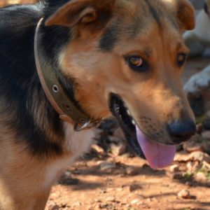 Πέτρα –  Petra