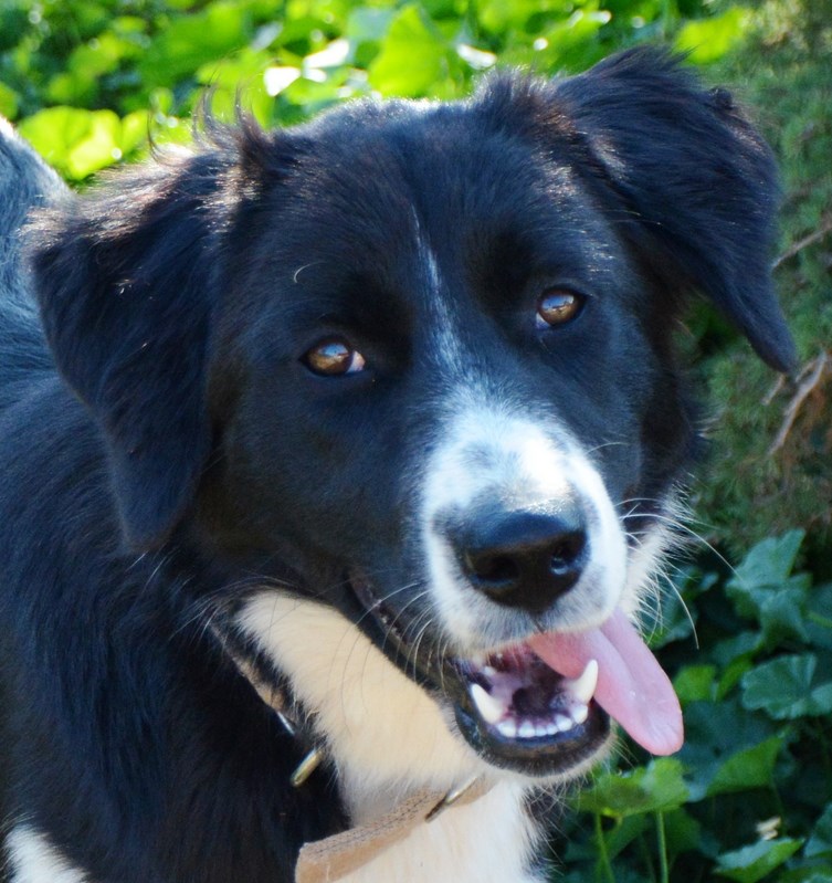 Read more about the article Τουίνκλ – Twinkle