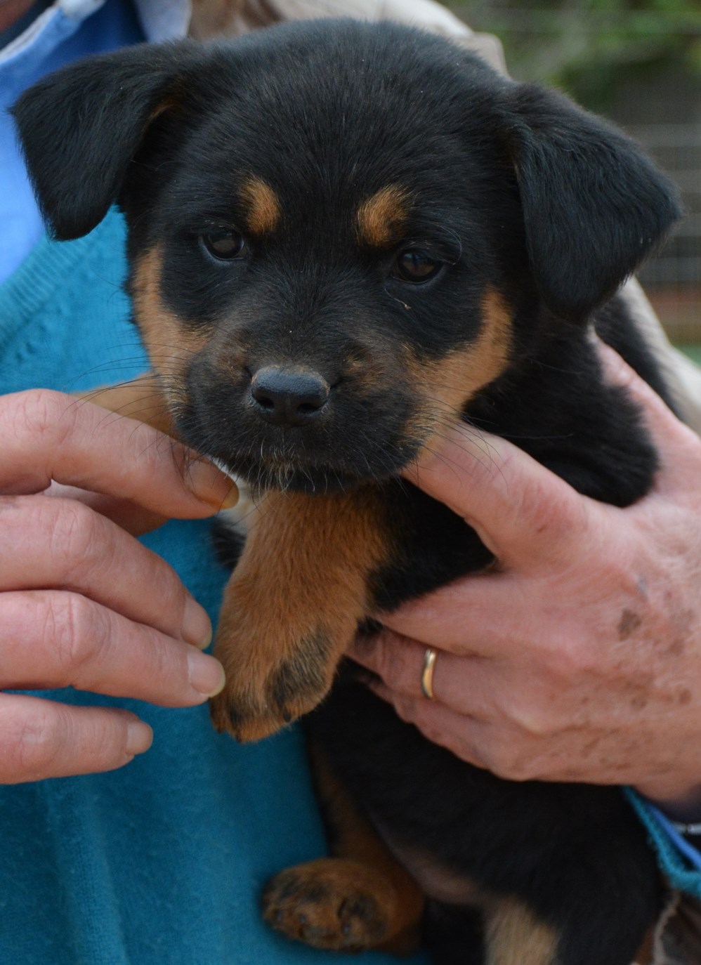 You are currently viewing Άλφα – Alpha