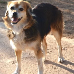 Στέφανι – Stephanie