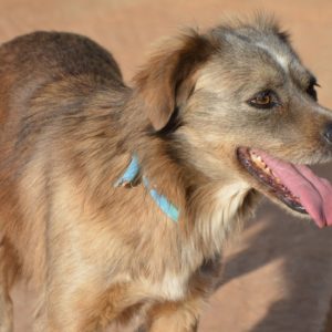 Σμόουκ – Smoke