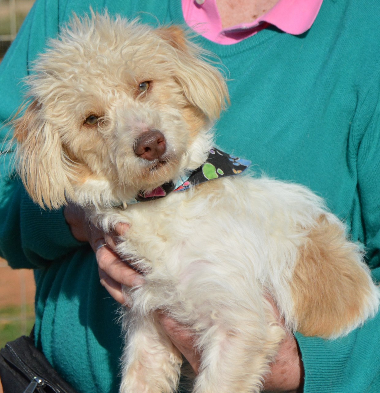 You are currently viewing Σκάιγουοκερ – Skywalker