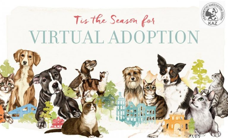 Read more about the article ΕΙΚΟΝΙΚΗ ΥΙΟΘΕΣΙΑ : τι είναι και πώς λειτουργεί