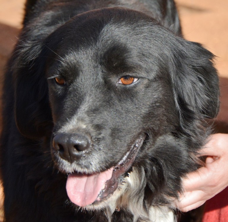 Read more about the article Αριάνα – Ariana