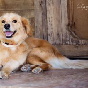 Μπέτυ – Betty