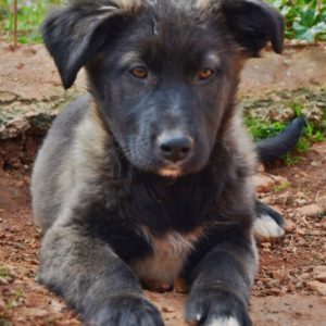 Κρίσταμπελ – Cristabell