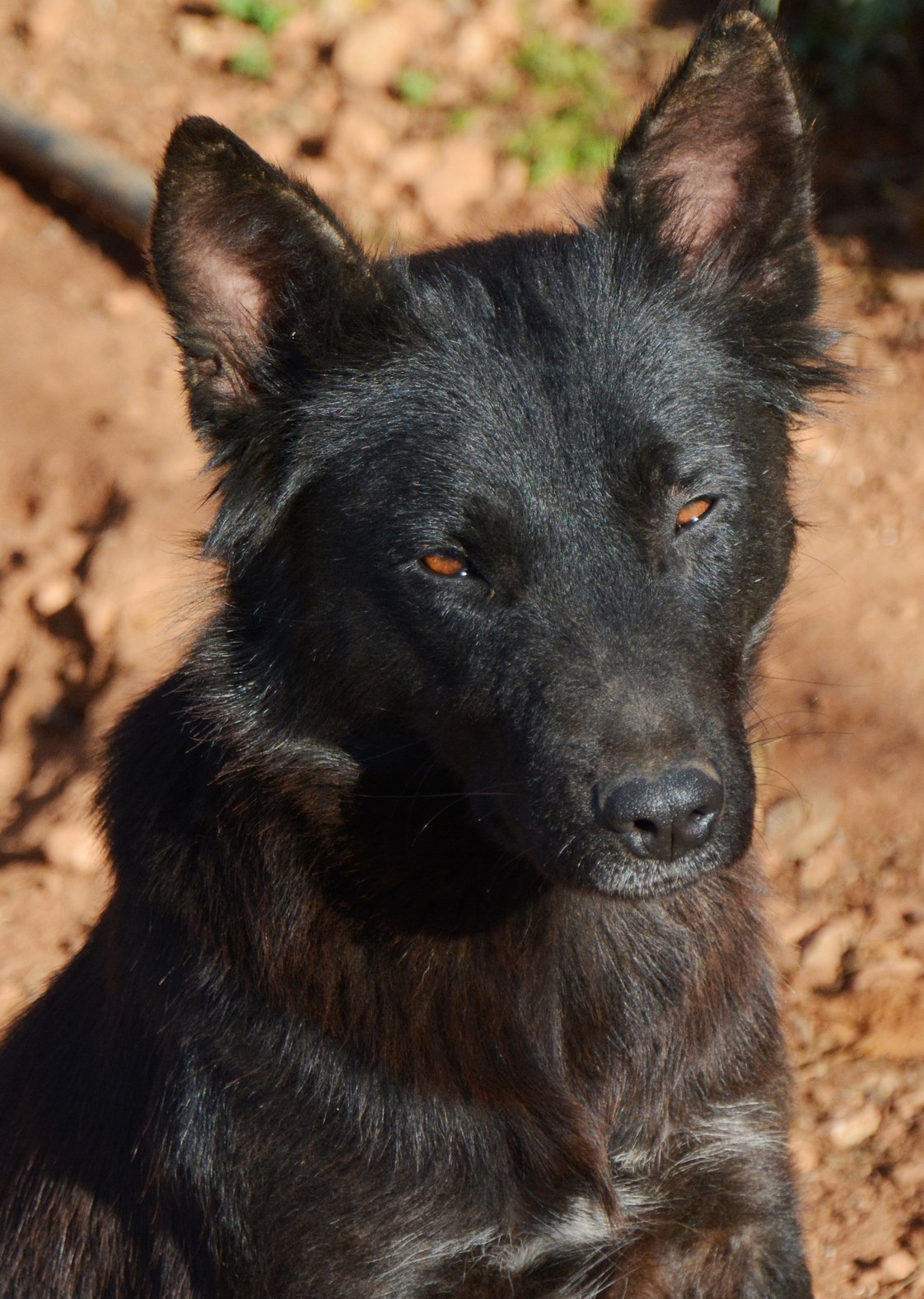 You are currently viewing Στάρ – Star