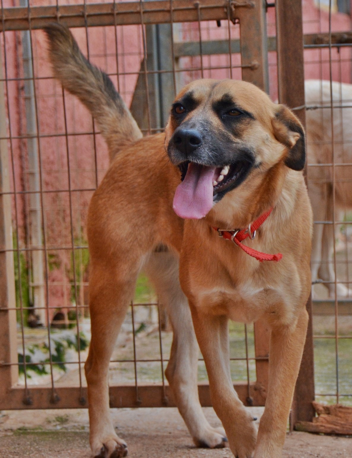 You are currently viewing Κριστίν – Christine