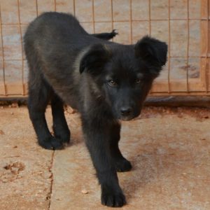 Μερίντα – Merida