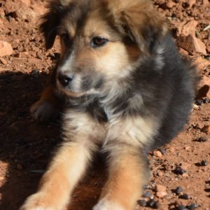 Στράντα – Strada