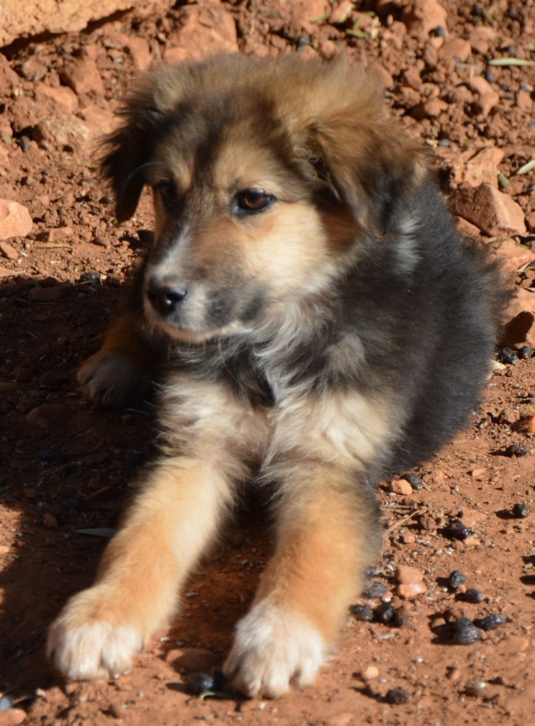 Read more about the article Στράντα – Strada