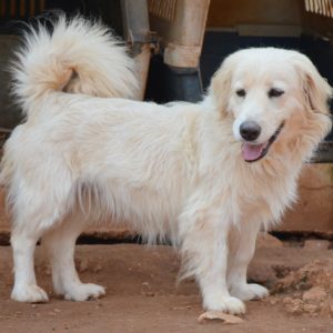 Τζουλιάνα – Juliana