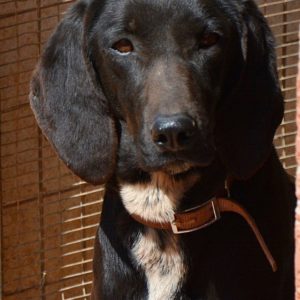 Φλώρα – Flora