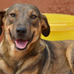 Μάρσυ – Marcy