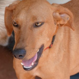 Μαρίζα – Mariza