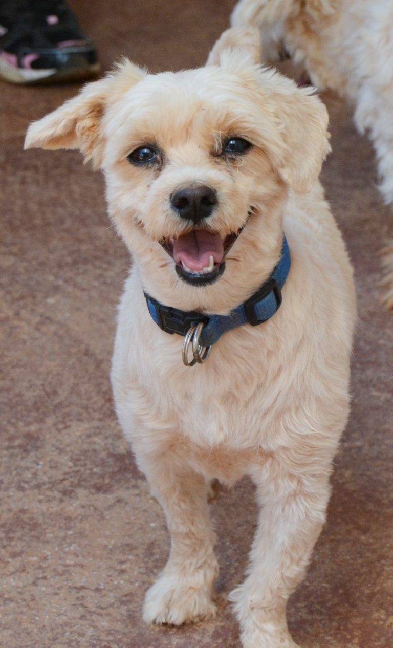 Read more about the article Σίγκυ – Siggy