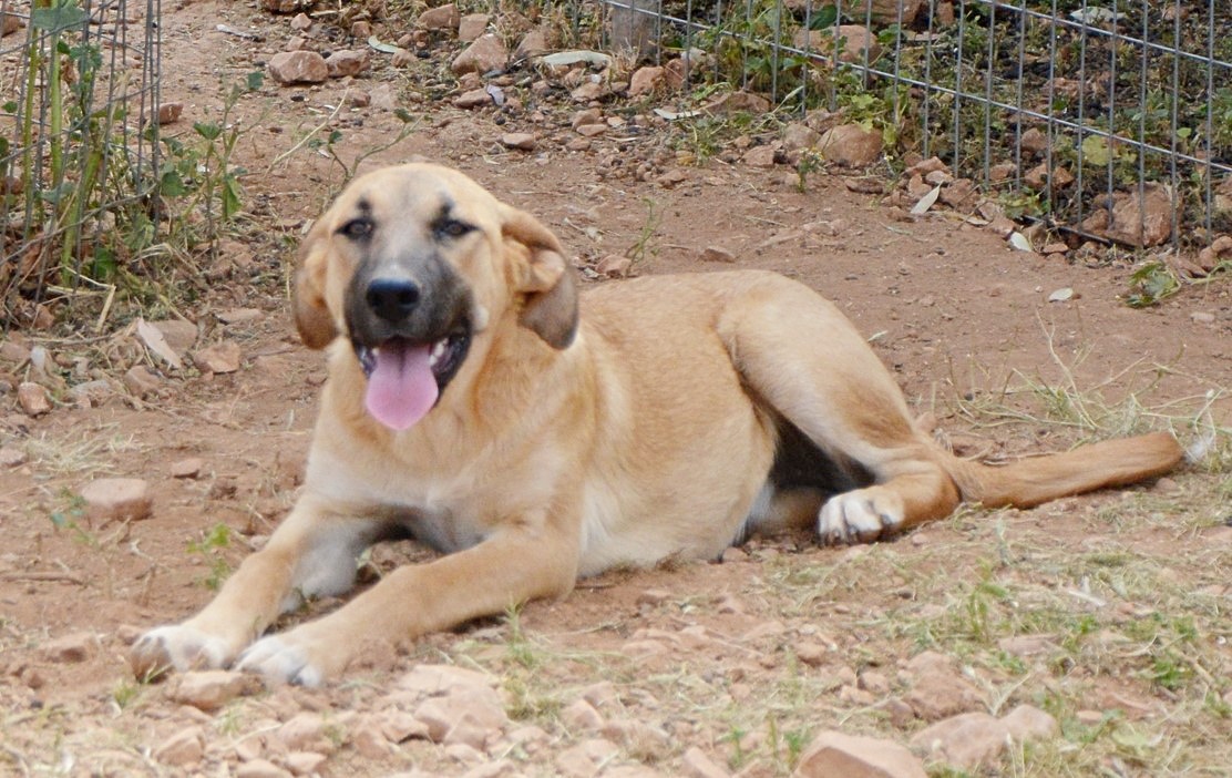 You are currently viewing Τέρρι – Terri