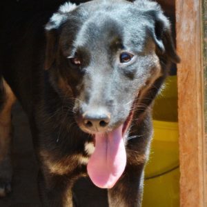 Εντόρα – Endora