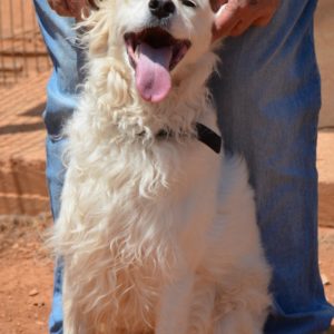 Νέιθαν – Nathan