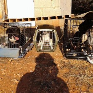 Δεν έχουμε ποτέ γκρινιάξει…