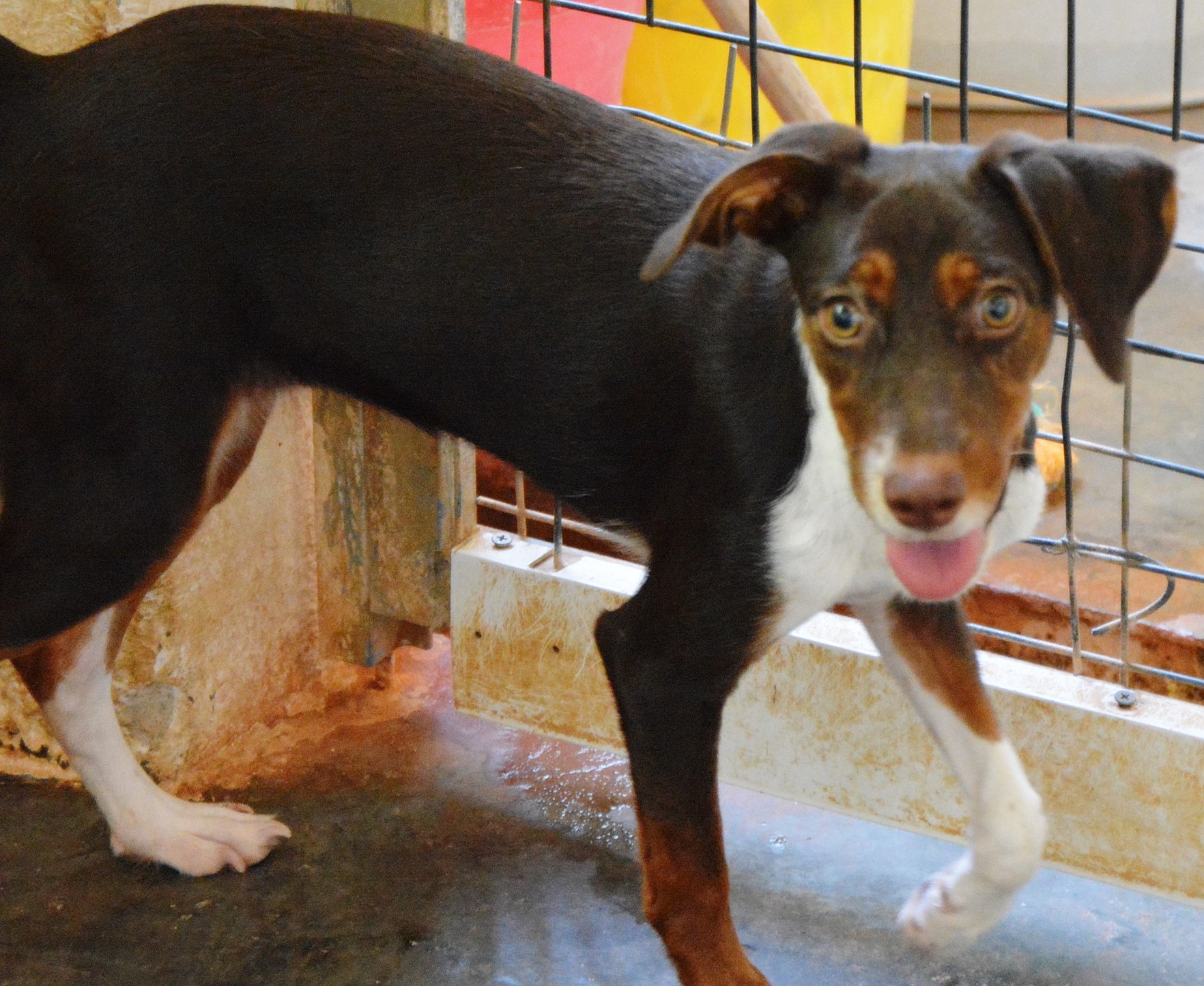 You are currently viewing Έιπριλ – April