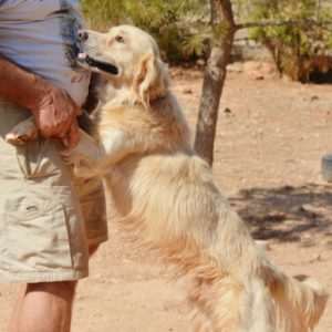 Ντομινίκ – Dominic