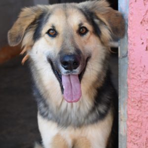 Μαρσέλ – Marcel