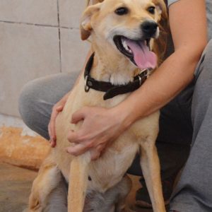 Ντανίλα – Danilla