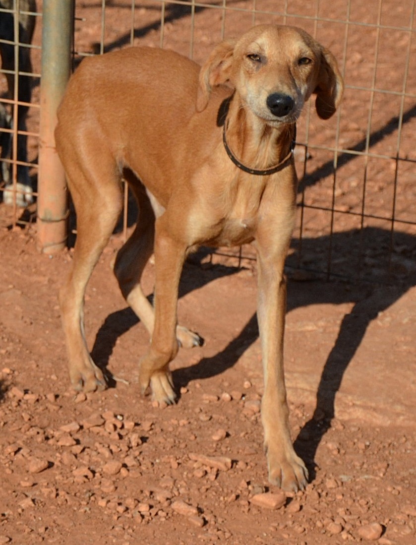 You are currently viewing Ατλάντα – Atlanta