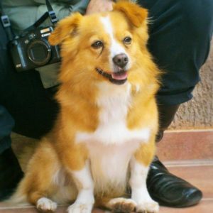 Τζιάκομο – Giacomo