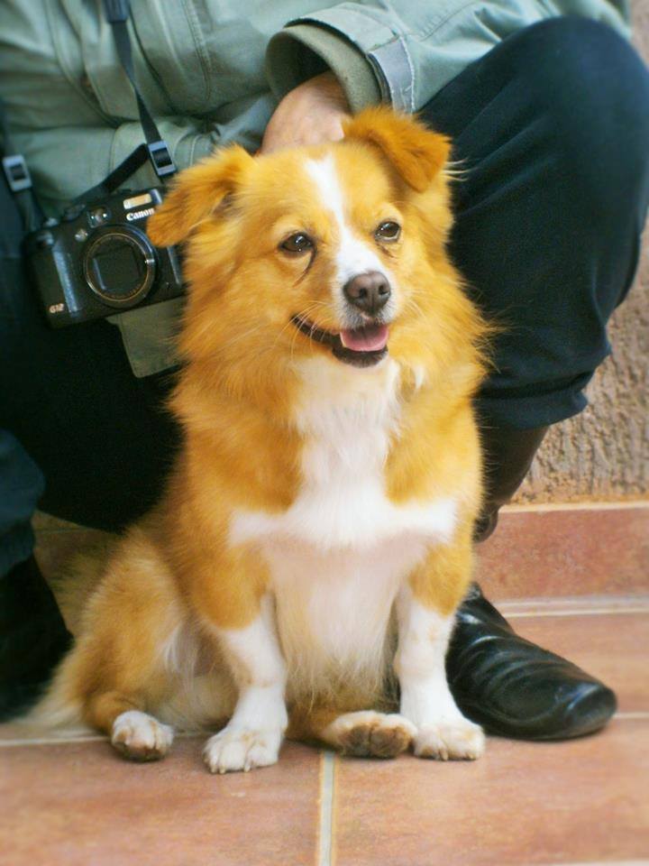 Read more about the article Τζιάκομο – Giacomo