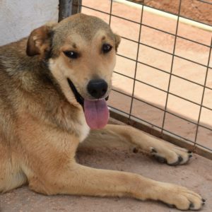 Κάσιους – Cassius