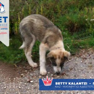 Hill’s Pet Nutrition Διαγωνισμός