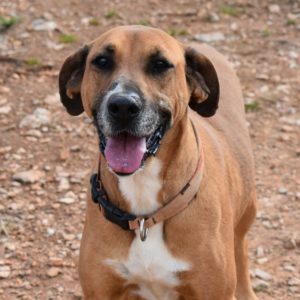 Ερέτρια – Eretria