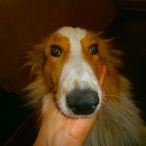 Κύριος Ρέντ – Mr. Red