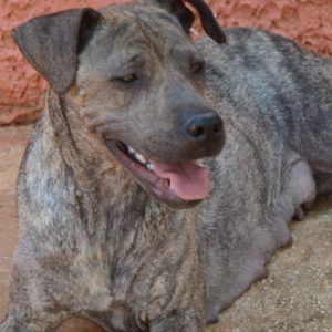 Ανκάρα – Ankara