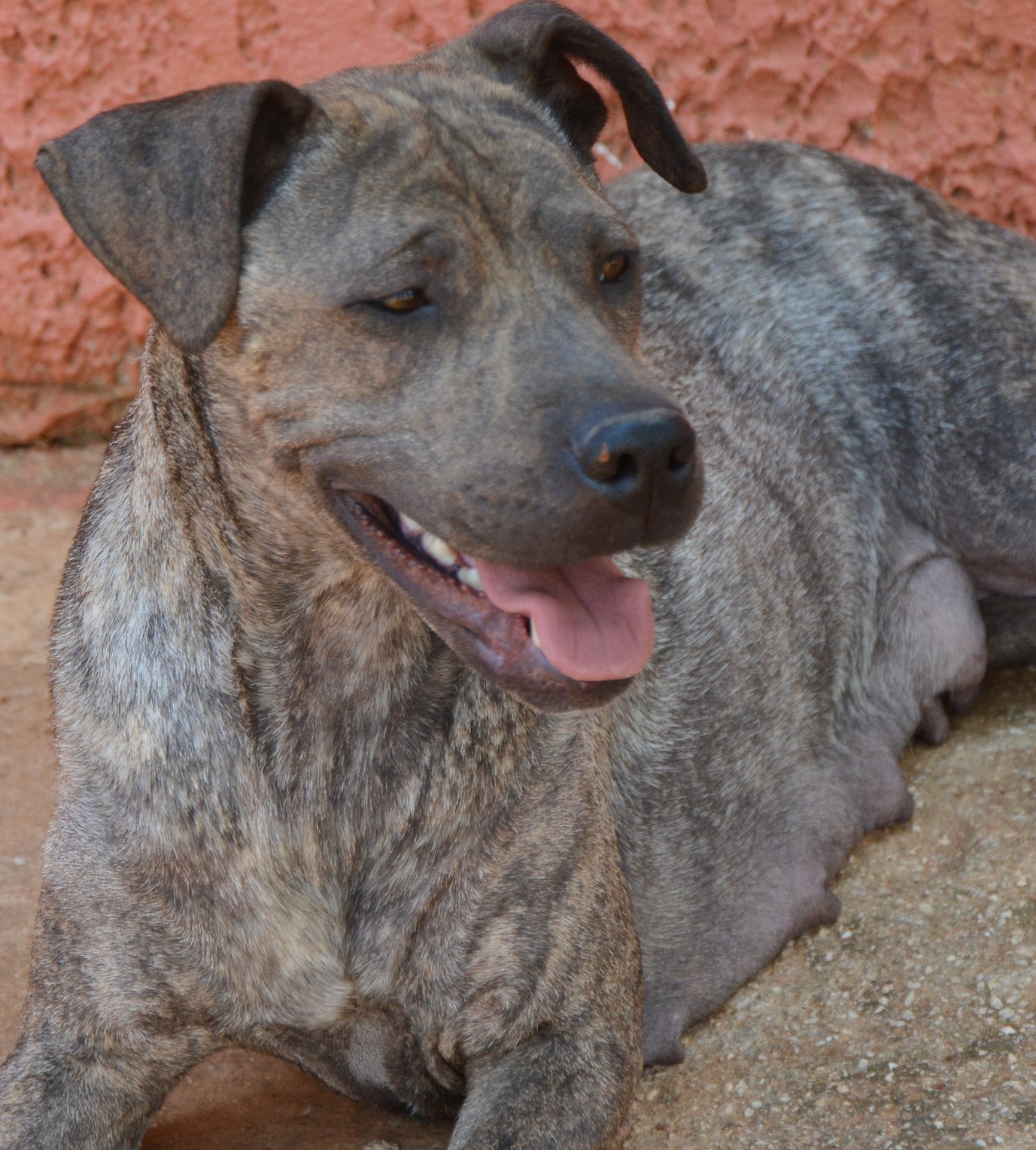 You are currently viewing Ανκάρα – Ankara